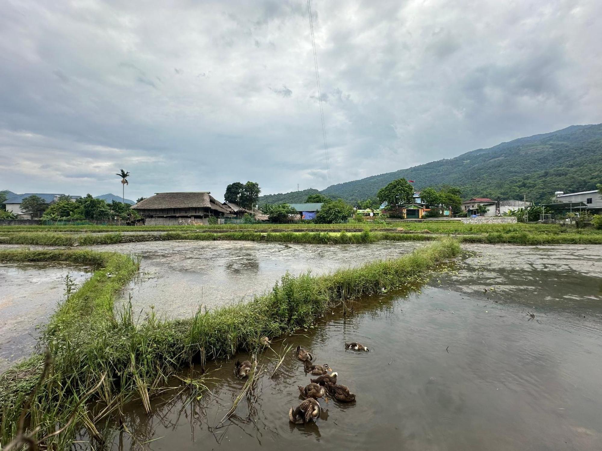 Ha Giang Eco Bungalow Екстер'єр фото